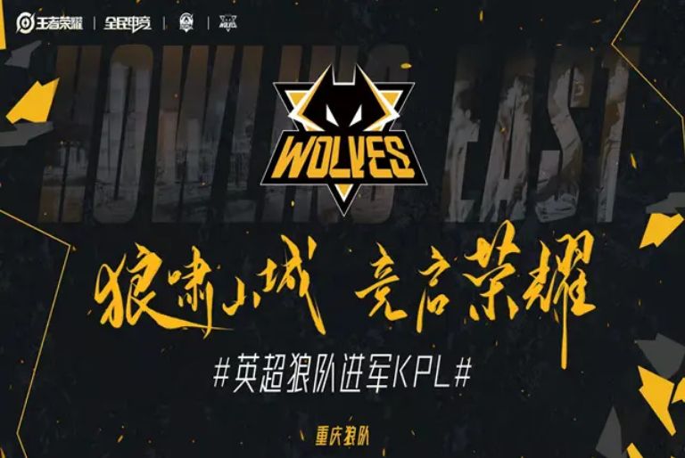 德州扑克高手接受犯错（德州扑克高手坦然面对失误）
